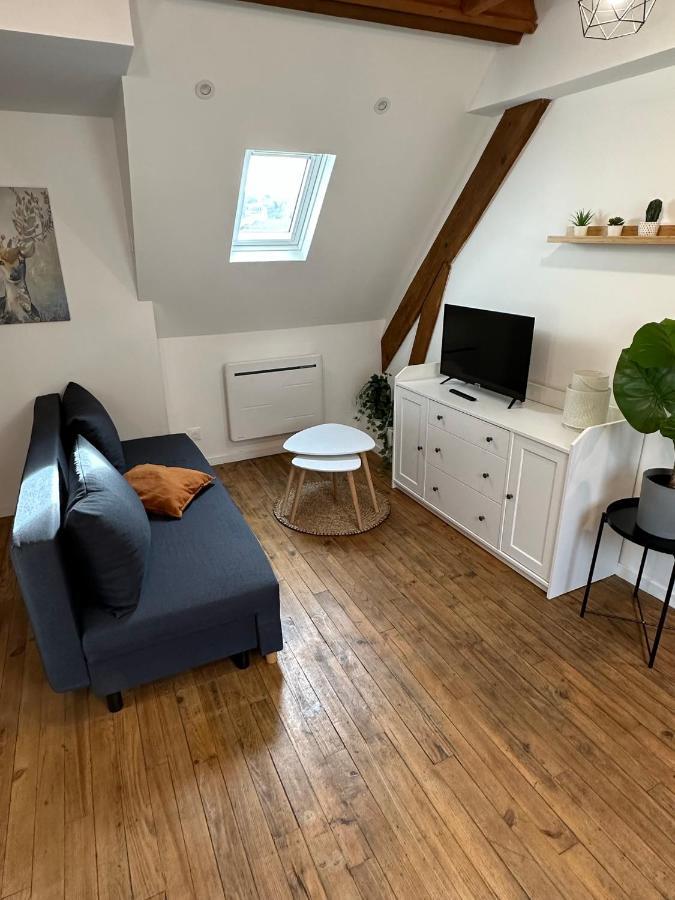 Superbe Appartement Mansarde Avec Mezzanine - Proche Centre Ville, Thermes, Aquensis Bagnères-de-Bigorre Eksteriør billede