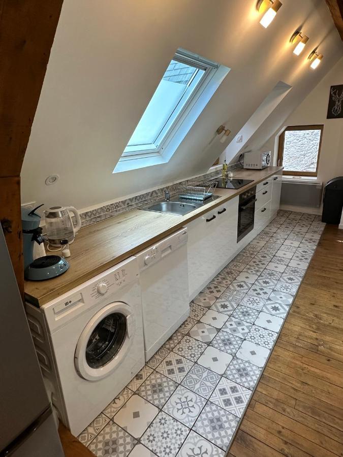 Superbe Appartement Mansarde Avec Mezzanine - Proche Centre Ville, Thermes, Aquensis Bagnères-de-Bigorre Eksteriør billede